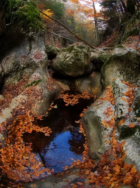 Réflexion du ciel d'automne dans une piscine — Photo
