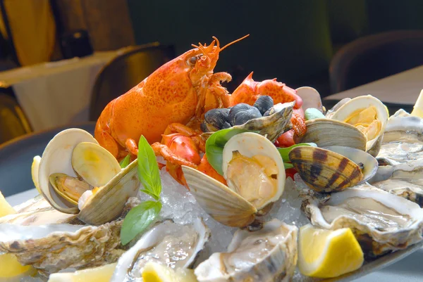 Um cocktail de frutos do mar com lagosta — Fotografia de Stock
