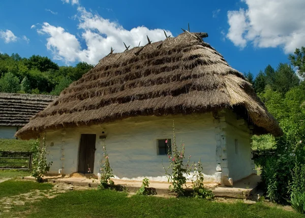 有一个稻草屋顶的房子 — 图库照片