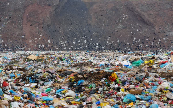 Hausstaub auf einer städtischen Müllkippe — Stockfoto