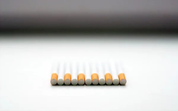 stock image Cigarettes lie in a row