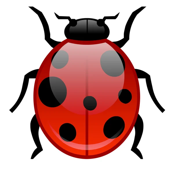 Insects, ladybug Stock Vector