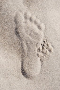 Footprint in the sand clipart