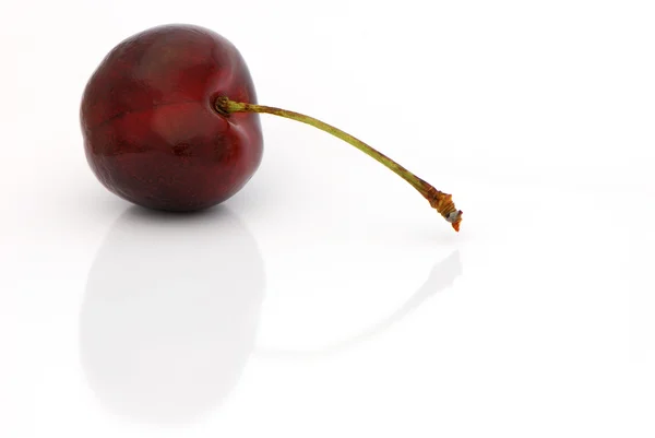 Black cherry — Stockfoto