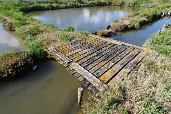 Puente de madera a través del sendero —  Fotos de Stock