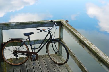 Bike and bird clipart