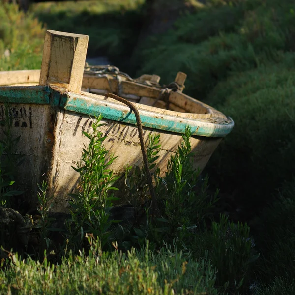 Pequeno barco e grama — Fotografia de Stock