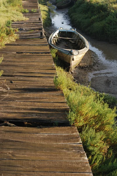 Pontoon ve arazi küçük tekne — Stok fotoğraf