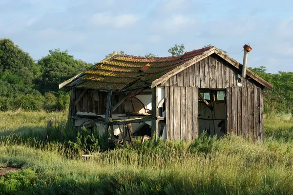 Cabane abandonnée — Photo