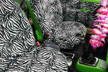 Zebra koltuk