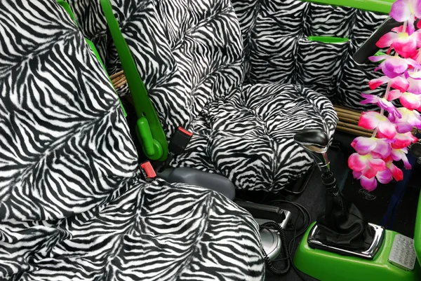 Zebra seats — Stock Photo, Image