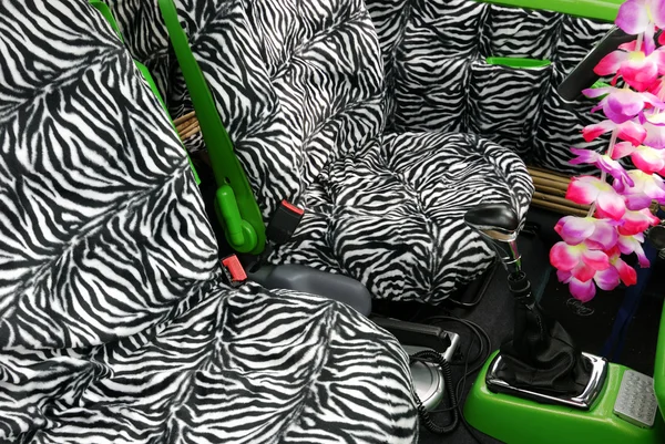 stock image Zebra seats