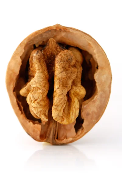 Pohled zepředu na otevřené ořech — Stock fotografie