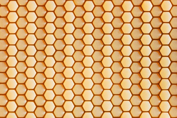 stock image Hexagonal cells