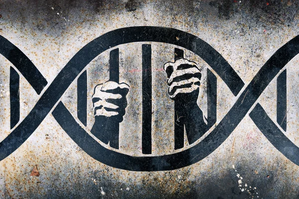 В'язниця в клітці ДНК Стокове Фото