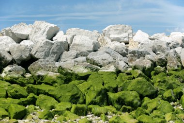 Seawall at low tide clipart