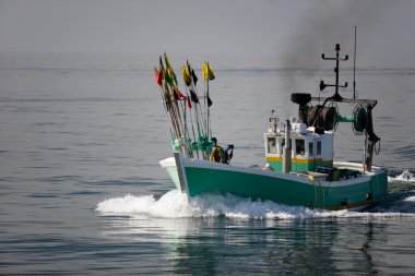 White and green fishing boat clipart