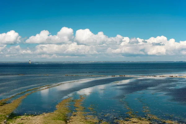 Облачный морской пейзаж во время отлива — стоковое фото