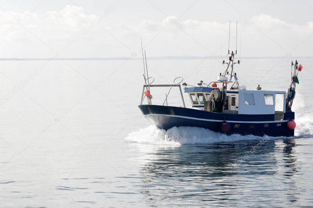 White and blue fishing boat