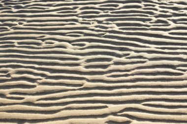 Ripples in the sand clipart