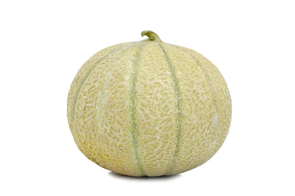 Melon kantalupa pojedynczy — Zdjęcie stockowe