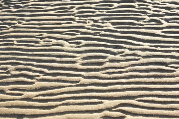 Krusninger i sandet - Stock-foto
