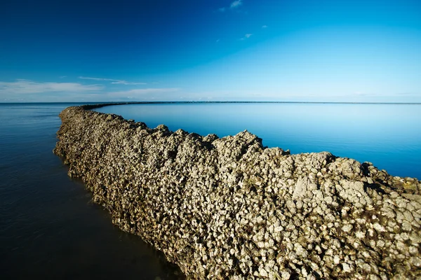 Malecón bajo el cielo azul profundo —  Fotos de Stock