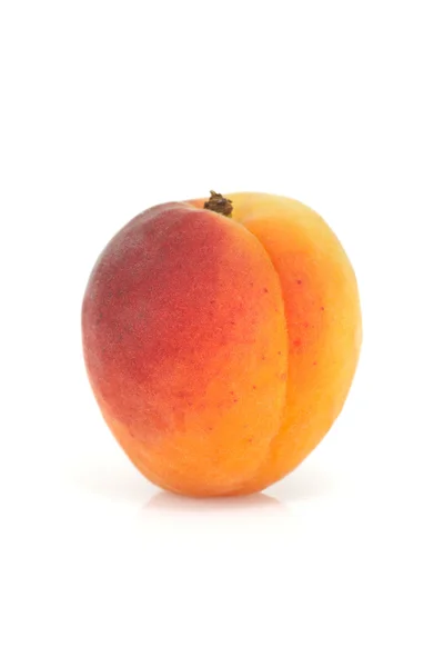 Один абрикос — стоковое фото