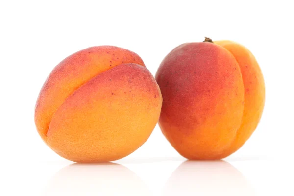 stock image Two apricots