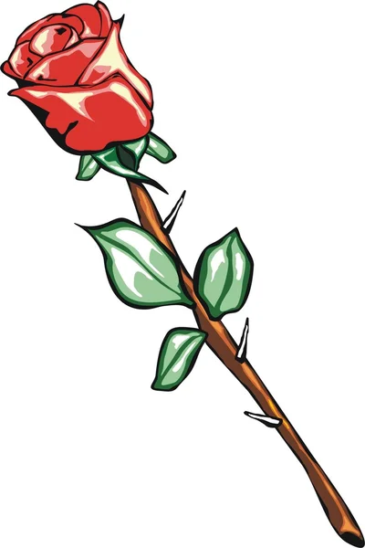 Mawar yang indah - Stok Vektor