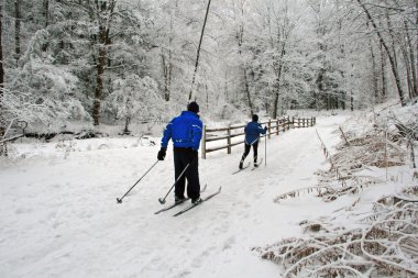 Cross-country skiing. clipart