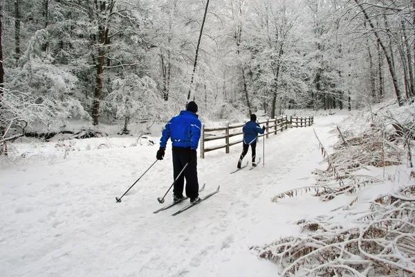 クロスカントリー スキー. — ストック写真