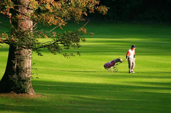 Jugar al golf en verano ! — Foto de Stock