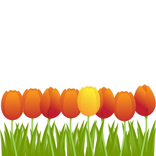 Tulipanes naranjas — Archivo Imágenes Vectoriales