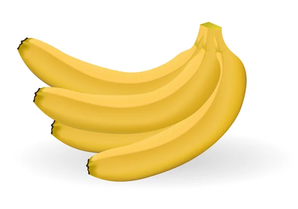 Four bananas — Stock Vector