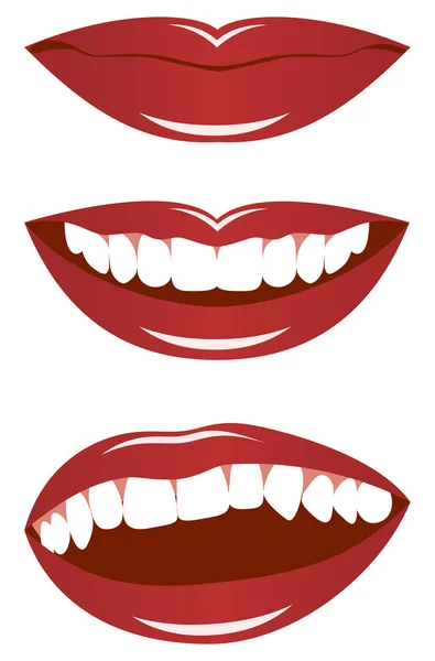 女性的嘴唇 — 图库矢量图片