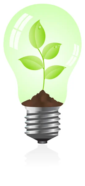 Žárovka s rostlinou uvnitř — Stockový vektor