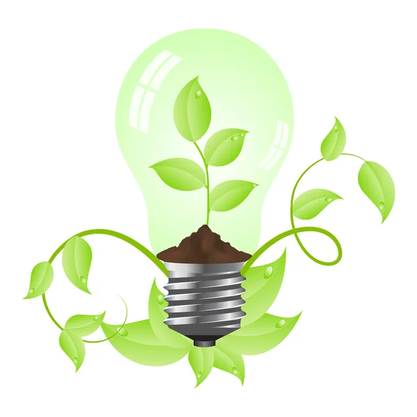 Žárovka s rostlinou uvnitř — Stockový vektor