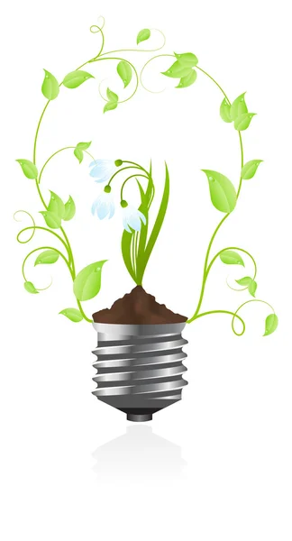 Bulb with plant of snowdrop — Stock Vector