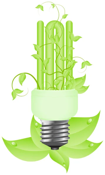 Floral bulb with leafs — Stock Vector
