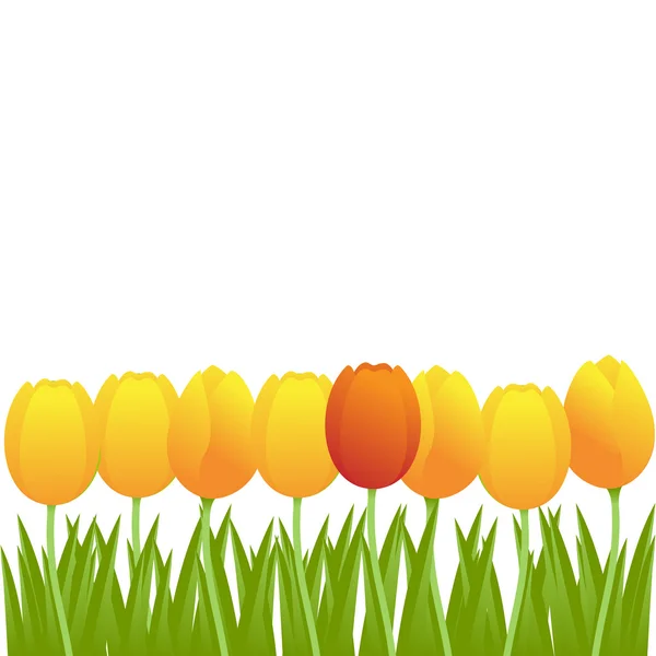 Vektor tulip háttér — Stock Vector