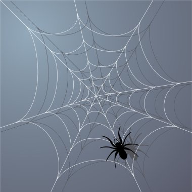 Spider clipart