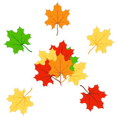 Maple leaves clipart