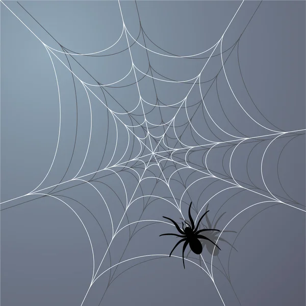 Pavouk — Stockový vektor