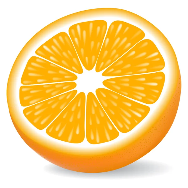 Segmento naranja — Vector de stock
