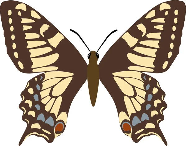 Farfalla monarca . — Vettoriale Stock