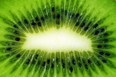 Kiwi clipart