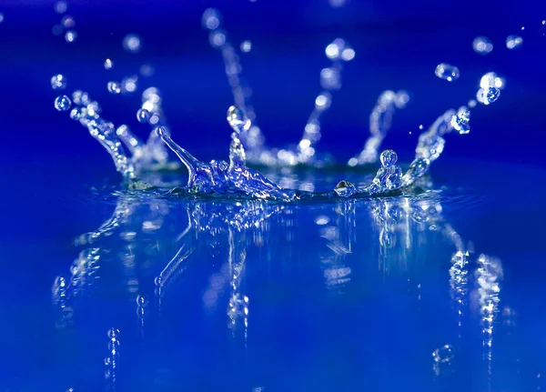 파란 비 말 — 스톡 사진