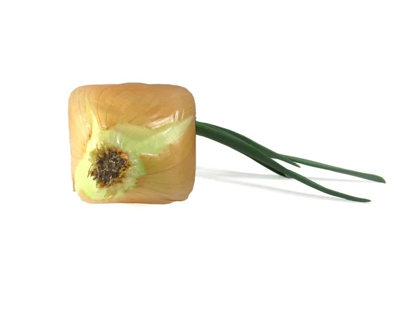 Cube grown onion on white — Stock Photo, Image
