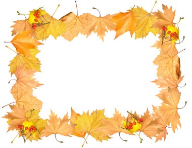 Frame of autumn yellow leaves clipart